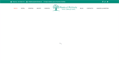 Desktop Screenshot of masiaelmolinete.es